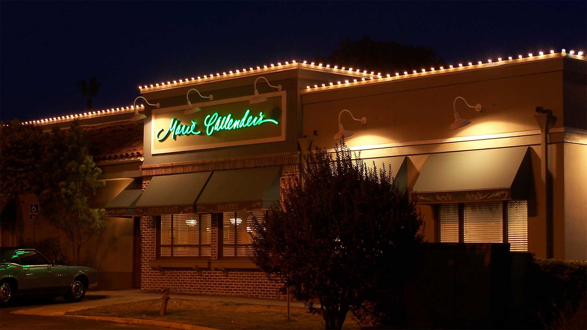 Professional Christmas Light Installation