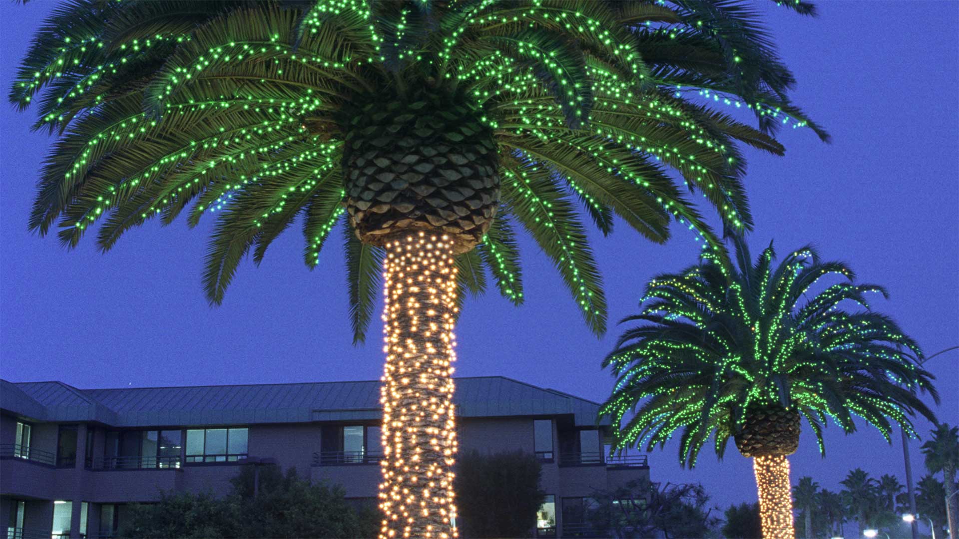 Commercial Christmas Light Installation